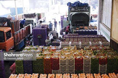 گزارش تصویری |  میدان تره‌بار سپاد در تب‌ و تاب نوروز