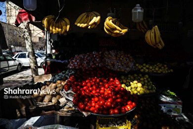 گزارش تصویری | نظارت اتاق اصناف بر کسب و کار بلوار توس