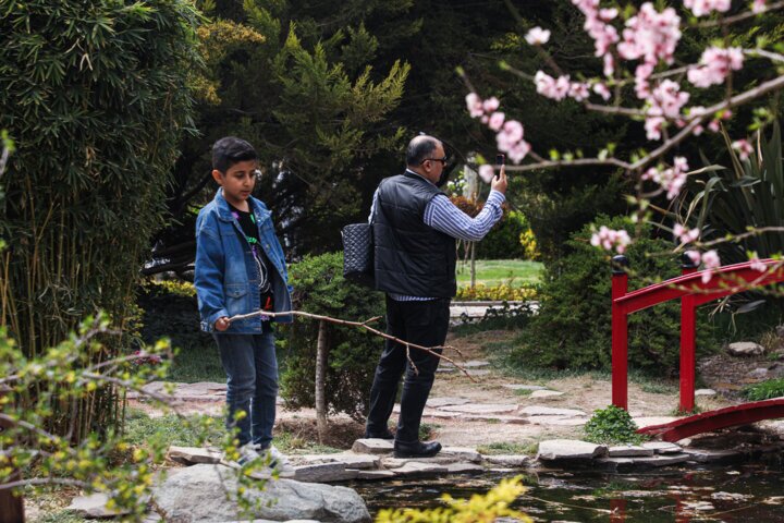 پیشنهاد هوش مصنوعی برای برگزاری نوروز ۱۴۰۴ در شبهای قدر پیشنهاد هوش مصنوعی برای برگزاری نوروز ۱۴۰۴ در شبهای قدر
