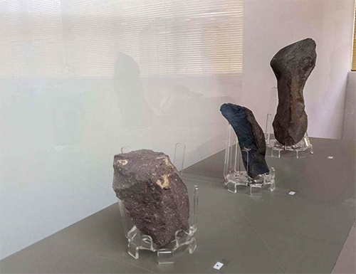 جریان میلیونها سال زندگی در رگ کشفرود جریان میلیونها سال زندگی در رگ کشفرود