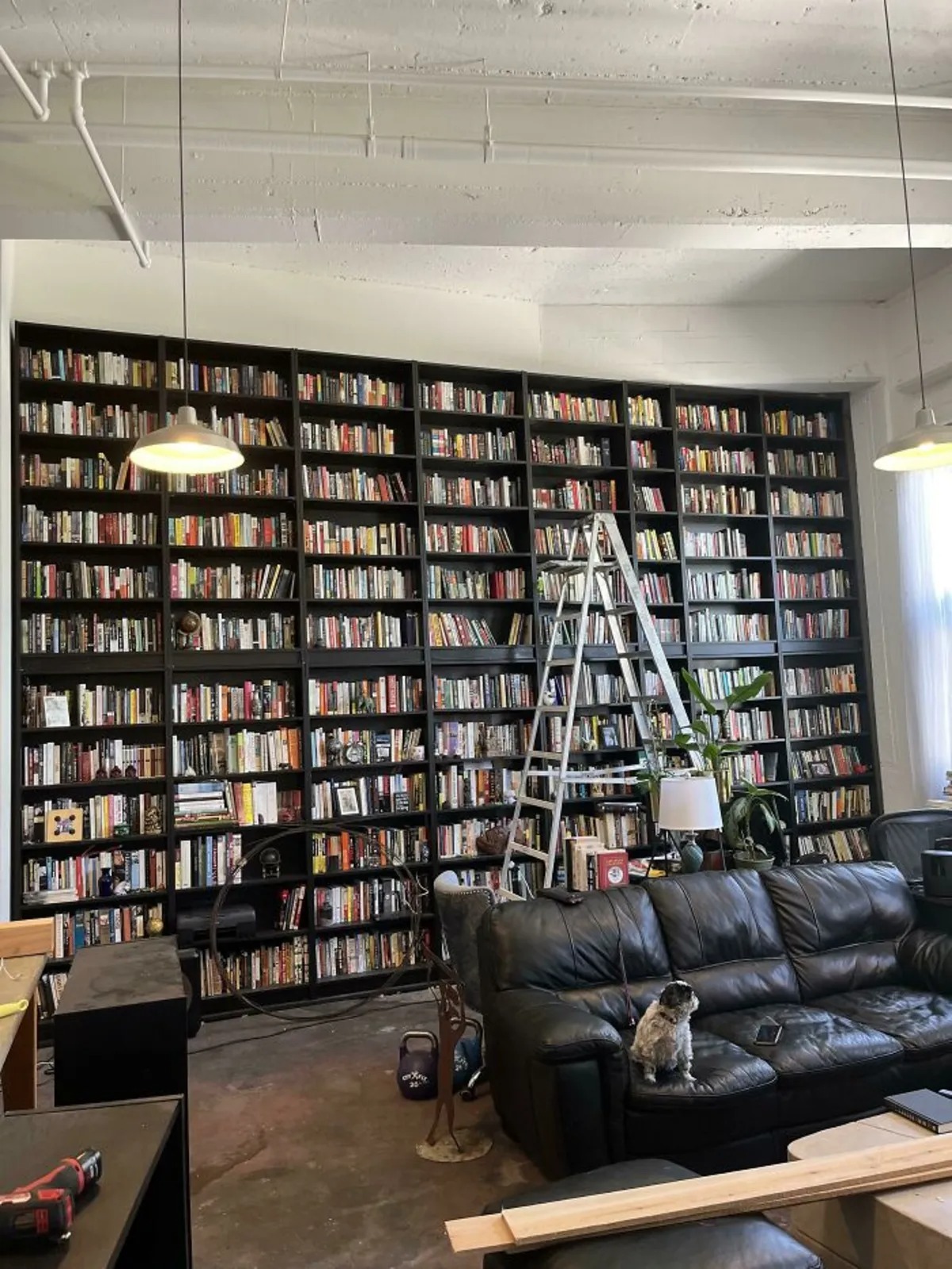 عاشق کتاب هستید؟ این تصاویر مخصوص شماست