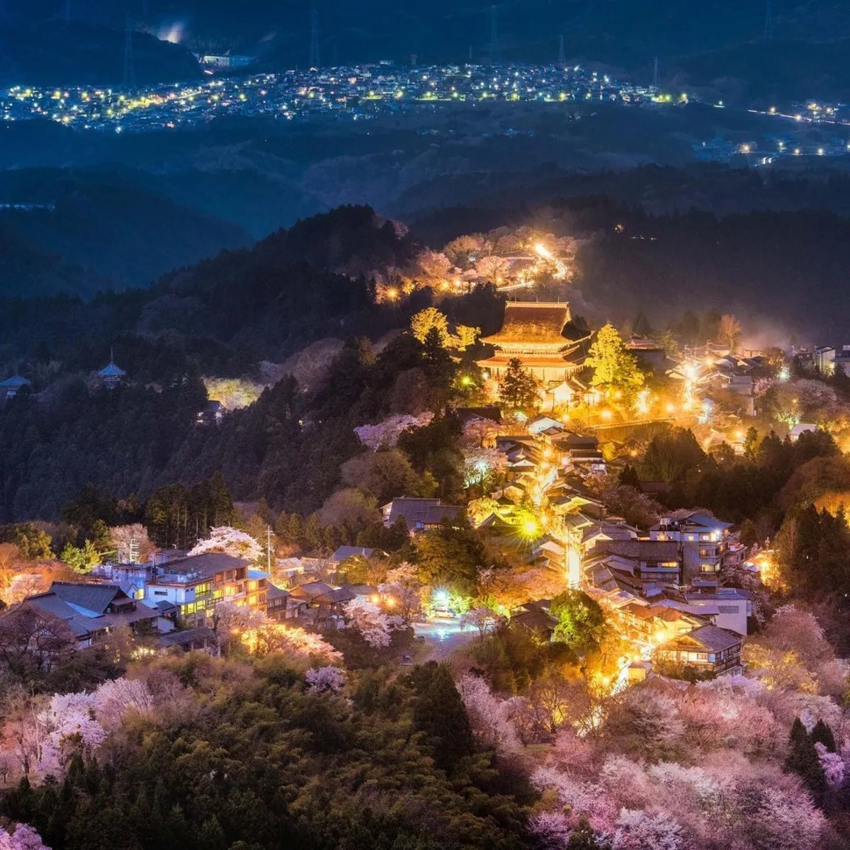 تصاویری از ژاپن کشور شکوفه‌های گیلاس