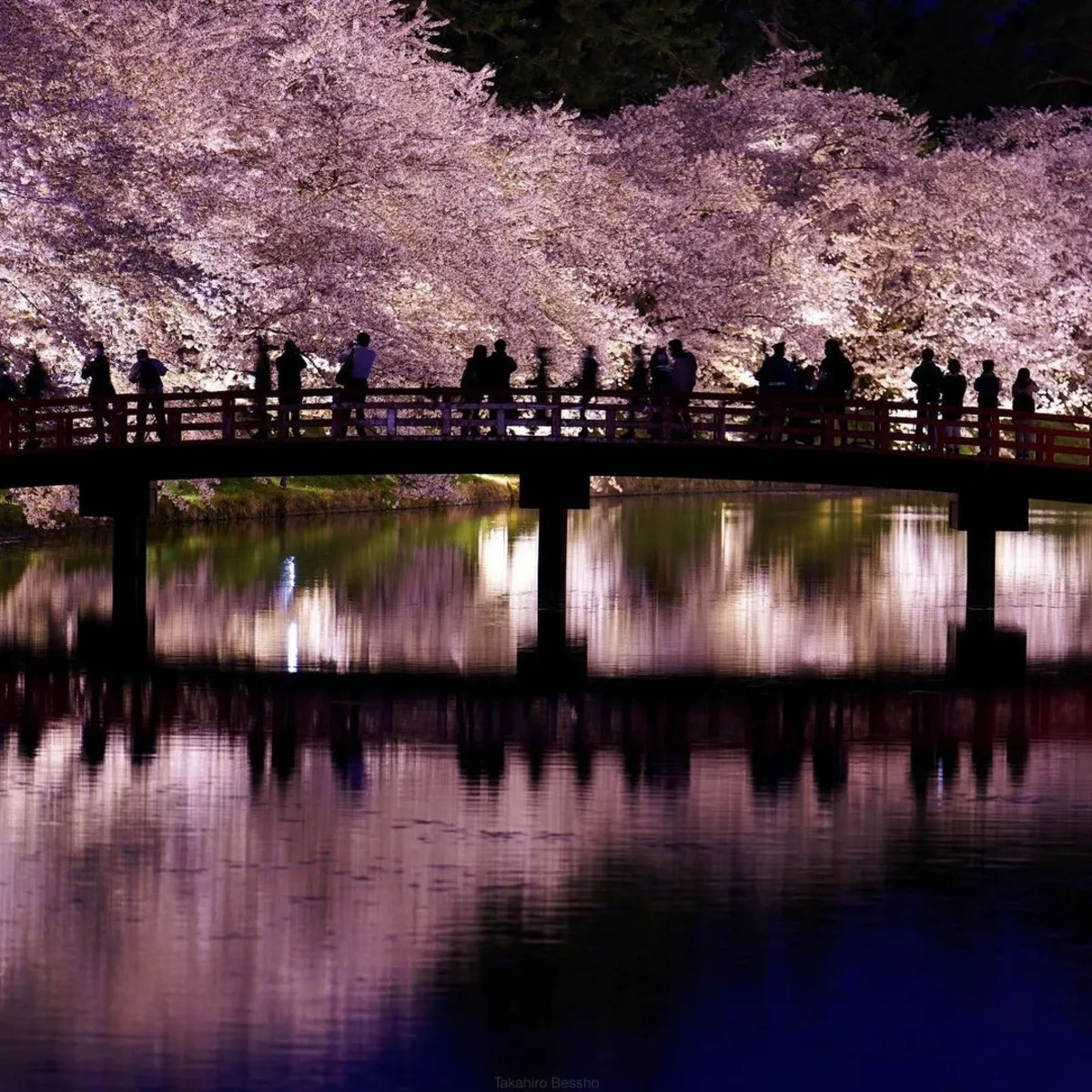 تصاویری از ژاپن کشور شکوفه‌های گیلاس