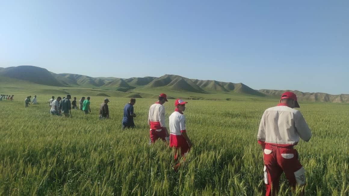 ماجرای گمشدن «یسنا»، دختر چهارساله روستای «یلیبدراق» + ویدئو ماجرای گمشدن «یسنا»، دختر چهارساله روستای «یلیبدراق» + ویدئو