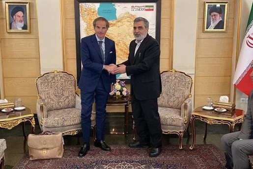 گروسی وارد تهران شد گروسی وارد تهران شد