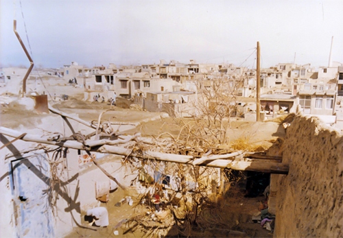 یادی از «نیزه» و نیزارهای گمشدهاش یادی از «نیزه» و نیزارهای گمشدهاش