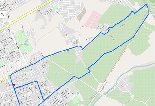 یادی از «نیزه» و نیزار‌های گمشده‌اش