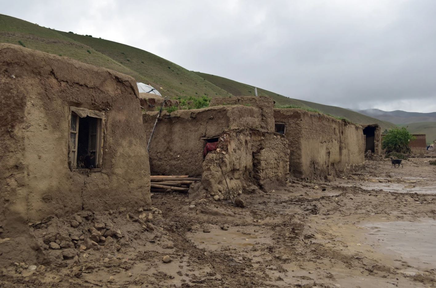 نگاهی به آخرین آمار تلفات در سیل افغانستان نگاهی به آخرین آمار تلفات در سیل افغانستان