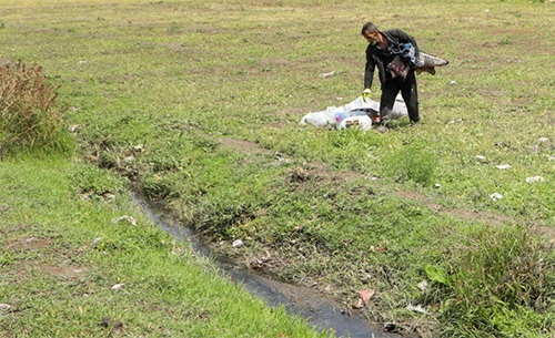 تابستان و قول پایان احداث کانال تابستان و قول پایان احداث کانال