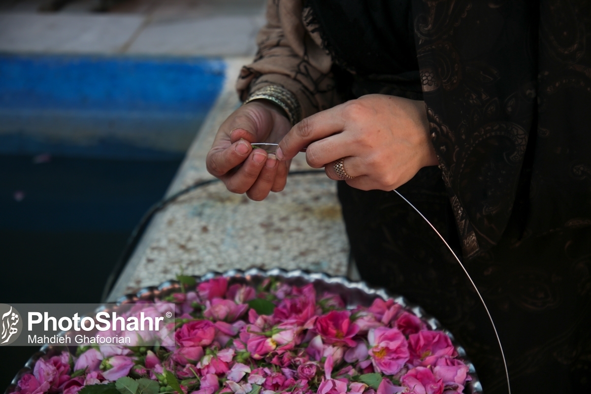 جشنواره «گل‌وگلاب» روستای فرخد در روز جمعه (۲۸ اردیبهشت ۱۴۰۳) لغو شد