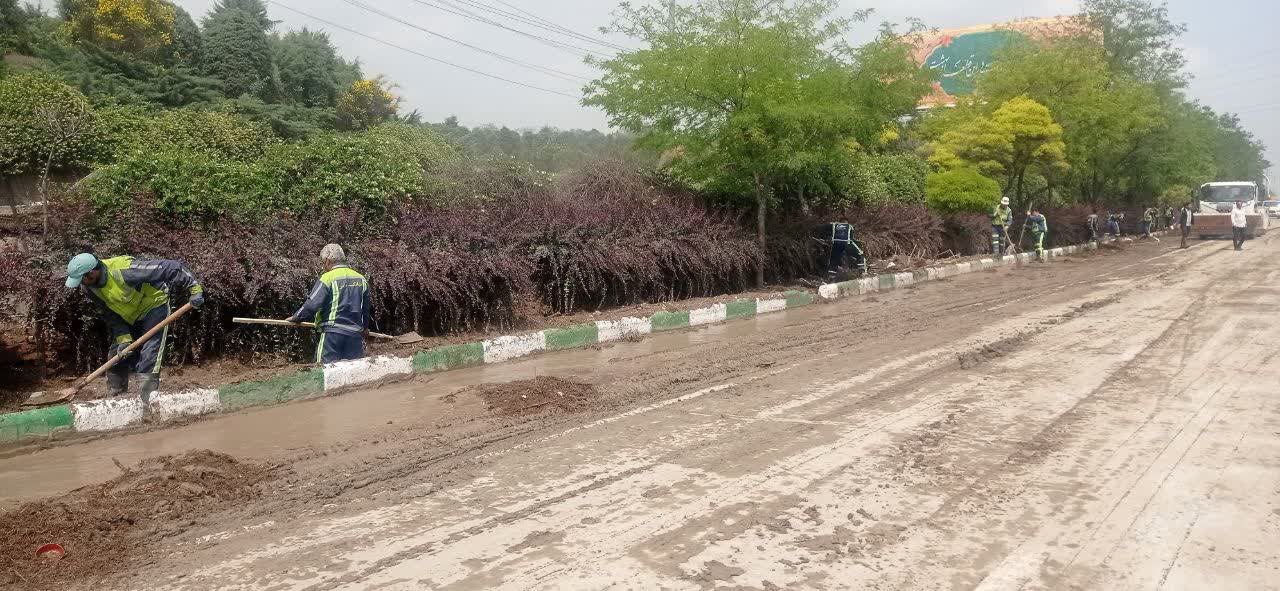 پاکسازی فضای سبز شهری بعد از سیلاب روز گذشته مشهد پاکسازی فضای سبز شهری بعد از سیلاب روز گذشته مشهد