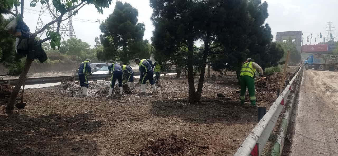 پاکسازی فضای سبز شهری بعد از سیلاب روز گذشته مشهد پاکسازی فضای سبز شهری بعد از سیلاب روز گذشته مشهد