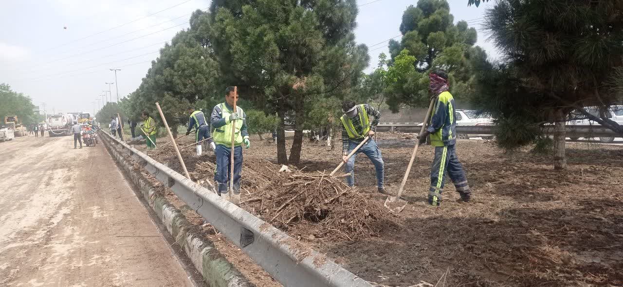 پاکسازی فضای سبز شهری بعد از سیلاب روز گذشته مشهد پاکسازی فضای سبز شهری بعد از سیلاب روز گذشته مشهد