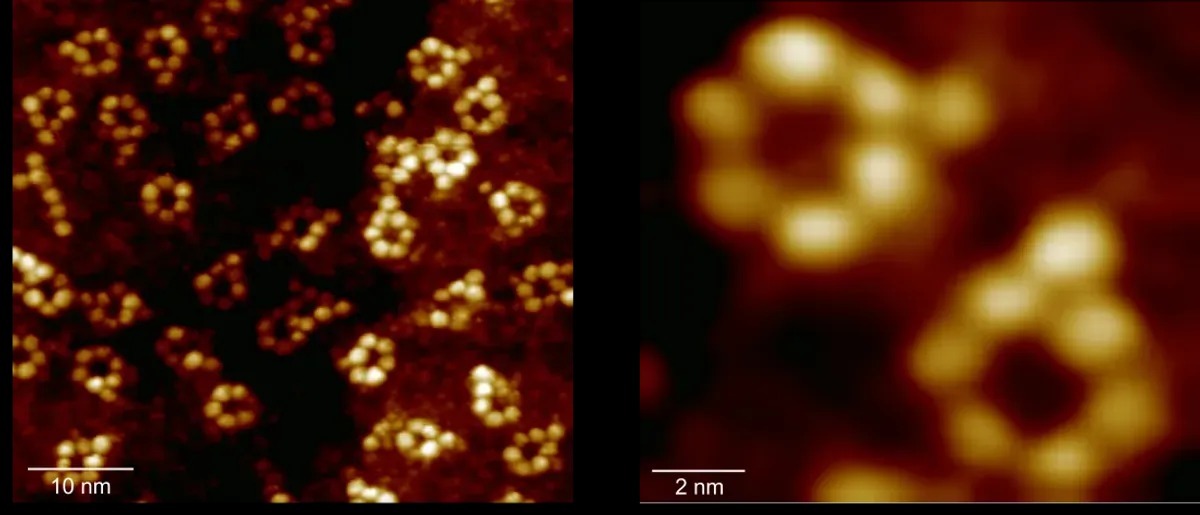محققان توانستهاند برای اولینبار یک اتم را با شاعه ایکس بررسی کنند محققان توانستهاند برای اولینبار یک اتم را با شاعه ایکس بررسی کنند