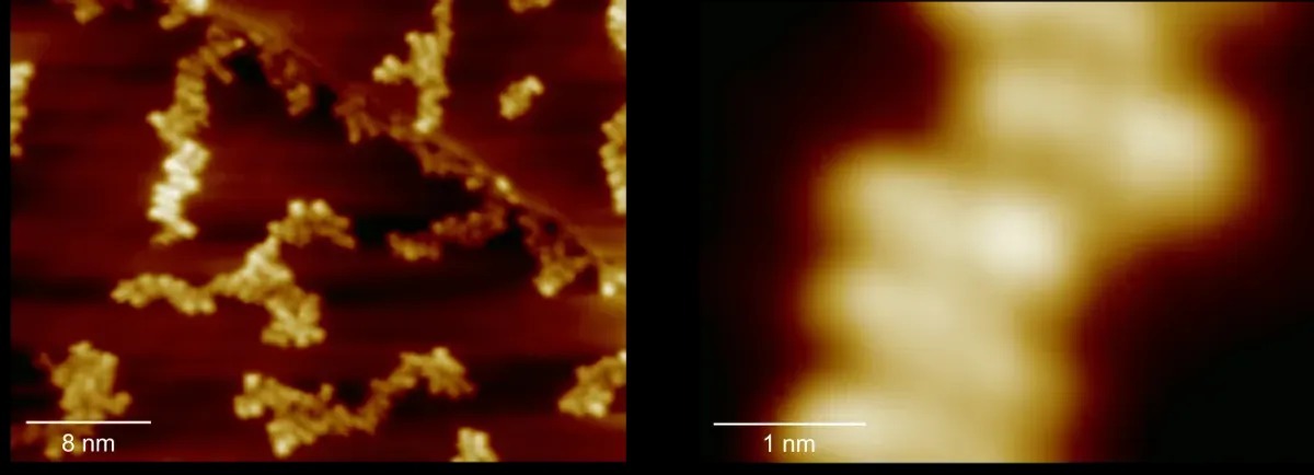 محققان توانستهاند برای اولینبار یک اتم را با شاعه ایکس بررسی کنند محققان توانستهاند برای اولینبار یک اتم را با شاعه ایکس بررسی کنند