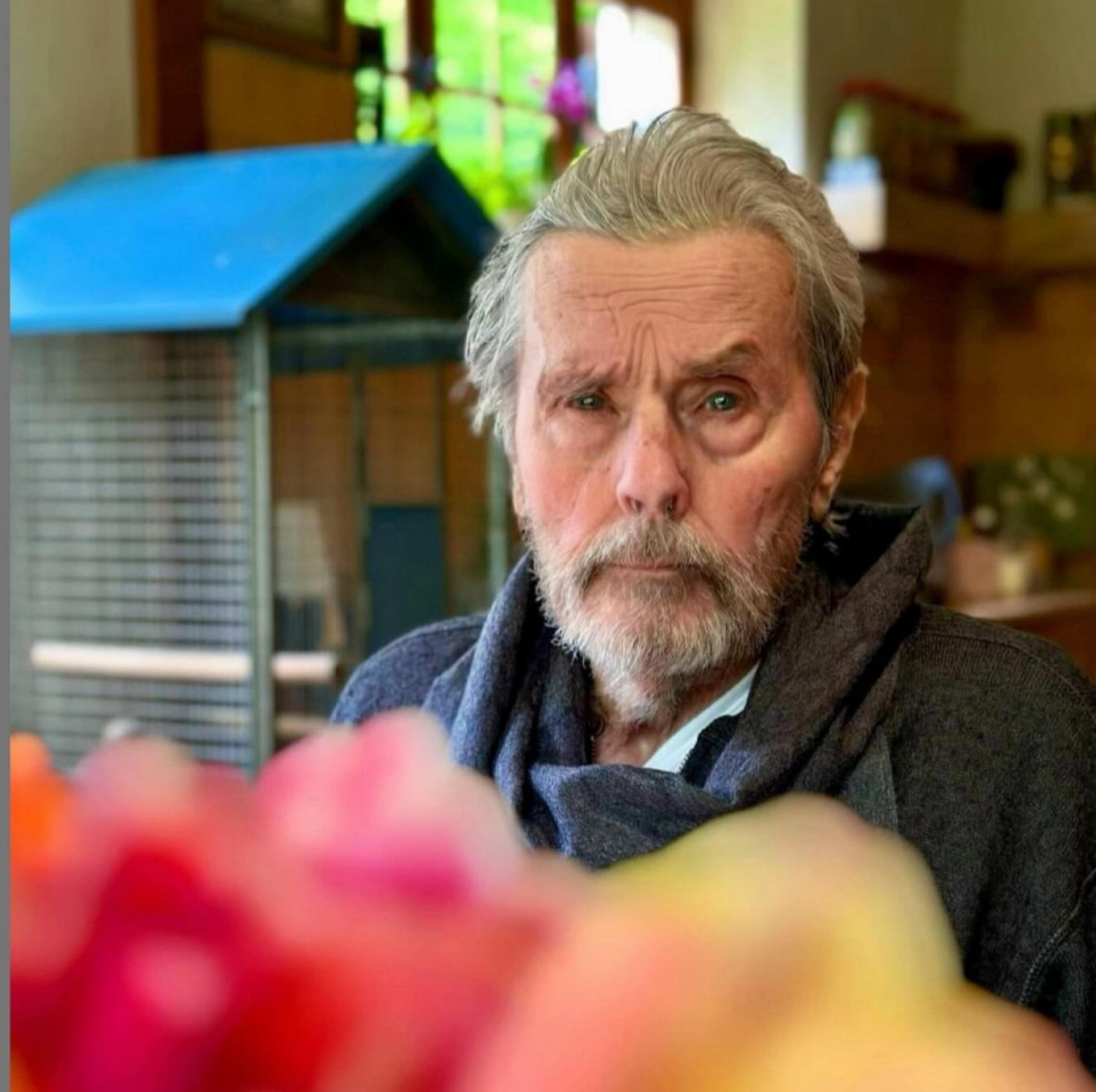 آلن دلون در ۸۸ سالگی + عکس