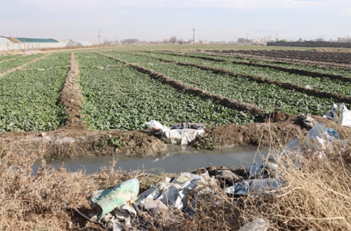 ضرب الاجل قضایی برای متخلفان کشفرود ضرب الاجل قضایی برای متخلفان کشفرود