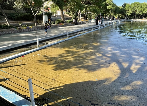 بوستانگردی با چاشنی دود سیگار و بوی ماهی مرده! بوستانگردی با چاشنی دود سیگار و بوی ماهی مرده!