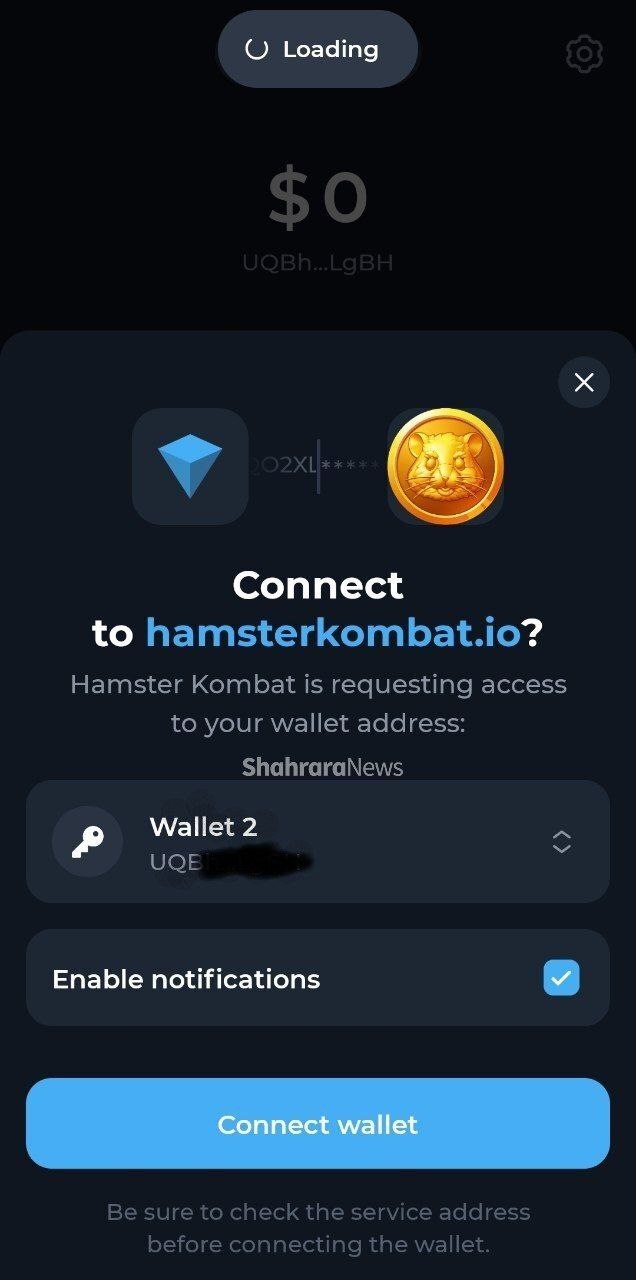 آموزش اتصال کیف پول TON به همستر کامبت آموزش اتصال کیف پول TON به همستر کامبت