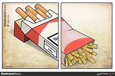 کارتون | کدام کشنده است؟ سیگار یا سیب‌زمینی؟