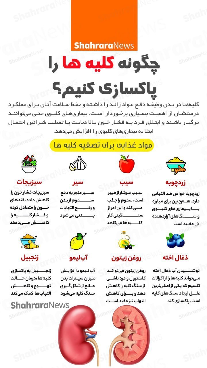 اینفوگرافی| چگونه کلیه‌ها را پاکسازی کنیم؟