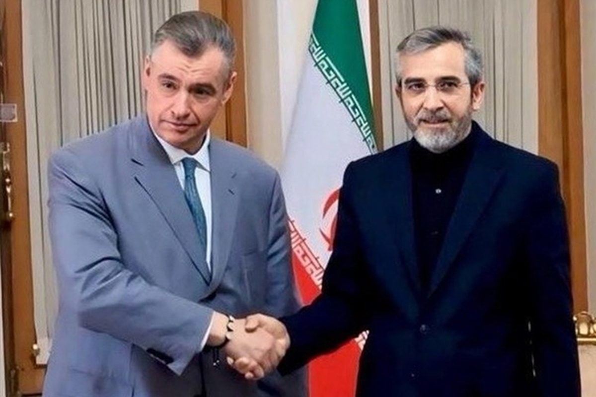 دیدار علی باقری و رئیس کمیته امور بین‌الملل دومای روسیه