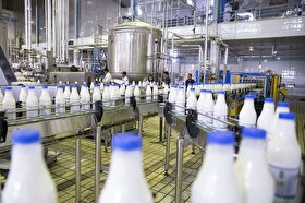 خراسان‌رضوی؛ سومین تولیدکننده شیر در کشور