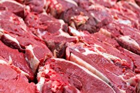 توزیع گوشت گرم برزیلی تنظیم‌بازار در مشهد آغاز شد (۲۷ خرداد ۱۴۰۳)