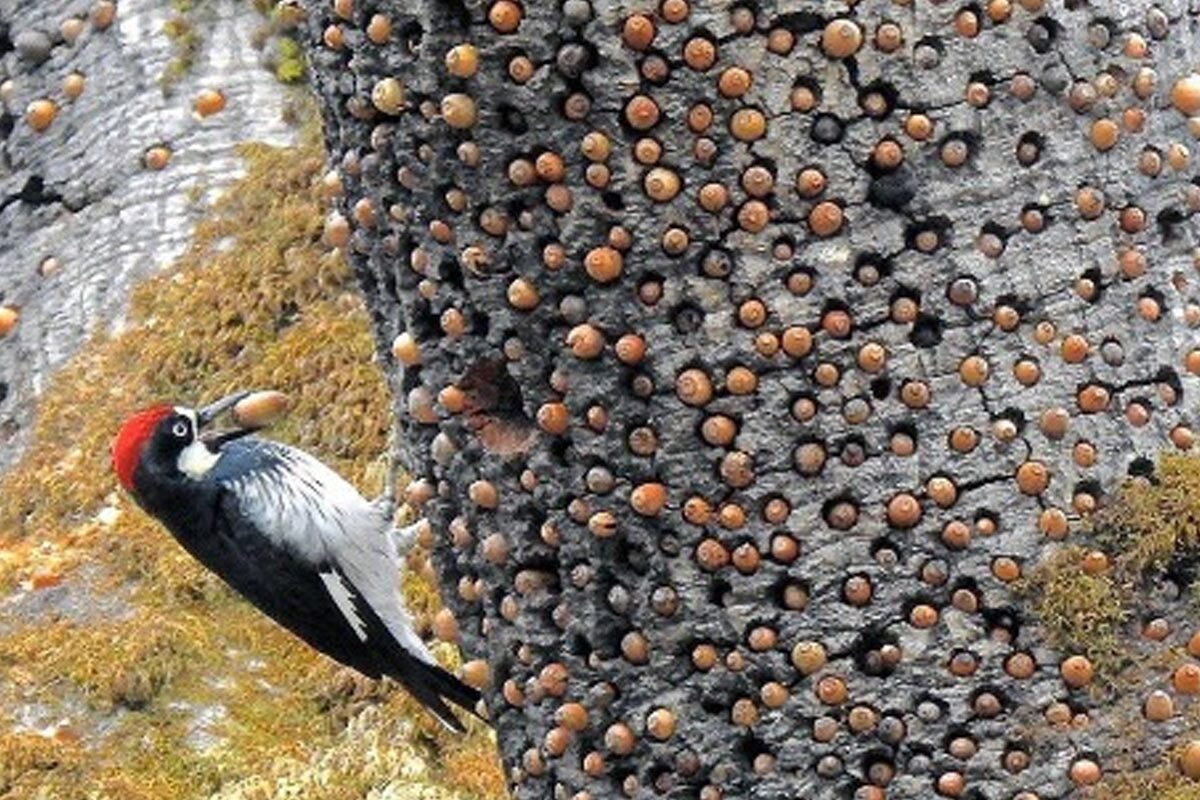 روانشناسان میگویند اینترنت میتواند ترس ما از حفرههای کوچک را تشدید کند! روانشناسان میگویند اینترنت میتواند ترس ما از حفرههای کوچک را تشدید کند!