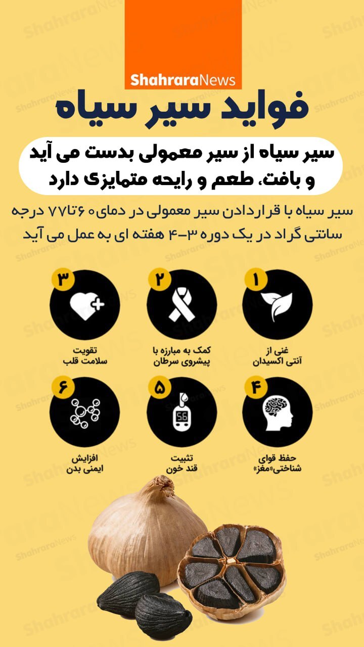 اینفوگرافی| فواید سیر سیاه