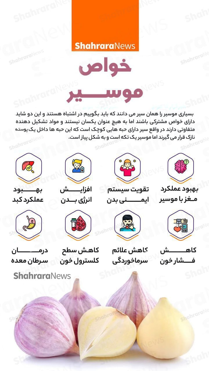 اینفوگراف| خواص موسیر