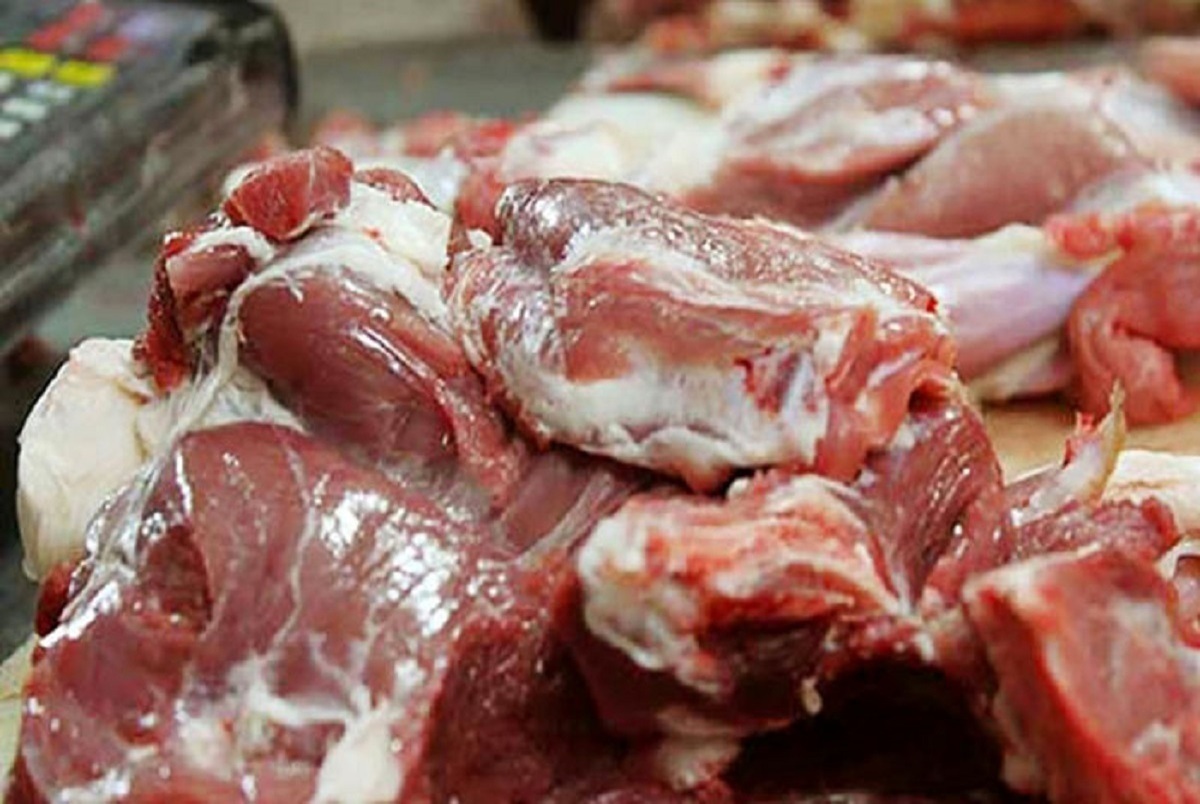 توزیع ۲۵۰ تن گوشت گرم گوساله برزیلی تنظیم‌بازار در مشهد