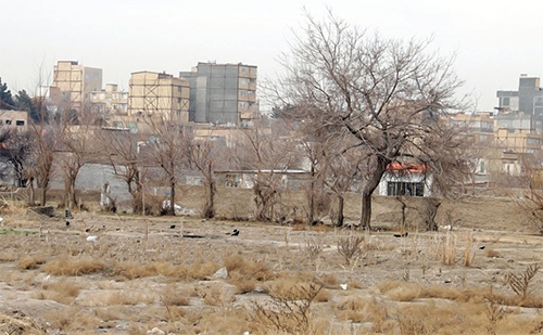 «باغو»؛ مزرعه‌ای کوچک با تاریخی بزرگ