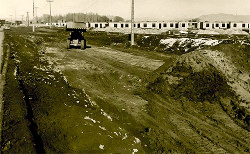 «باغو»؛ مزرعه‌ای کوچک با تاریخی بزرگ