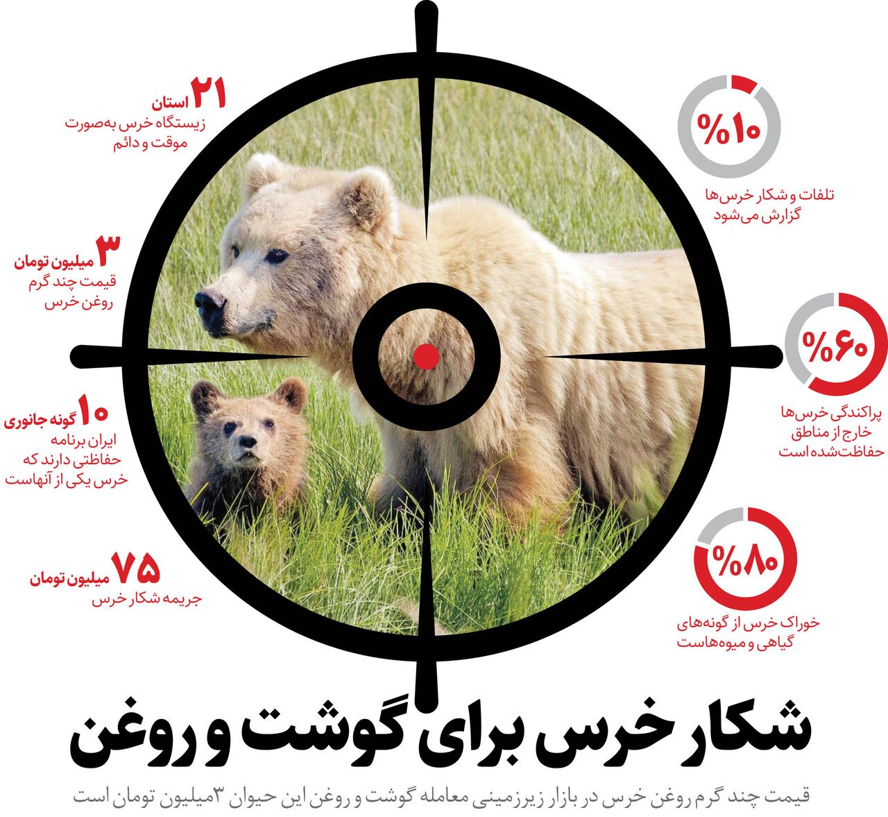 کشتار خرس در ایران برای دردهای بی درمان ؛ روغن خرس ۳ میلیون تومان؟ کشتار خرس در ایران برای دردهای بی درمان ؛ روغن خرس ۳ میلیون تومان؟