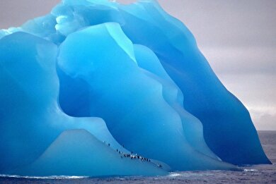 تصاویری از صخره‌های یخی در دل قطب