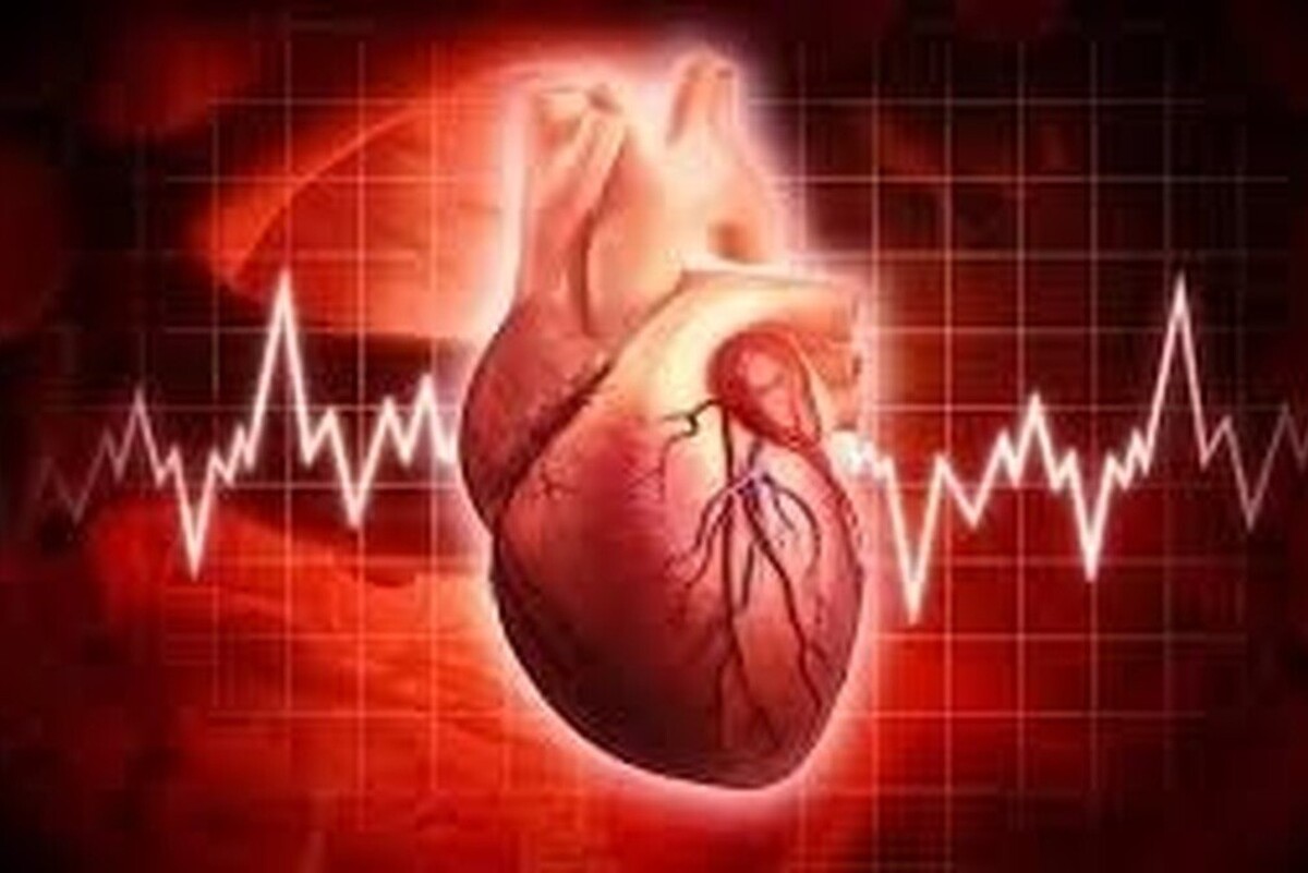 بیش از یک میلیون نفر زیر پوشش برنامه خطرسنجی بیماری‌های قلبی‌وعروقی قرار گرفتند