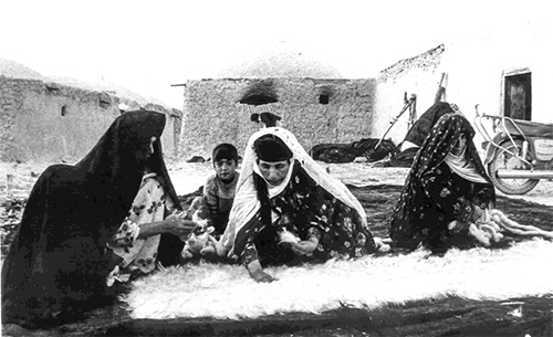 گره خوردن تاریخ ریسندگی با تارو پود قالی مشهد