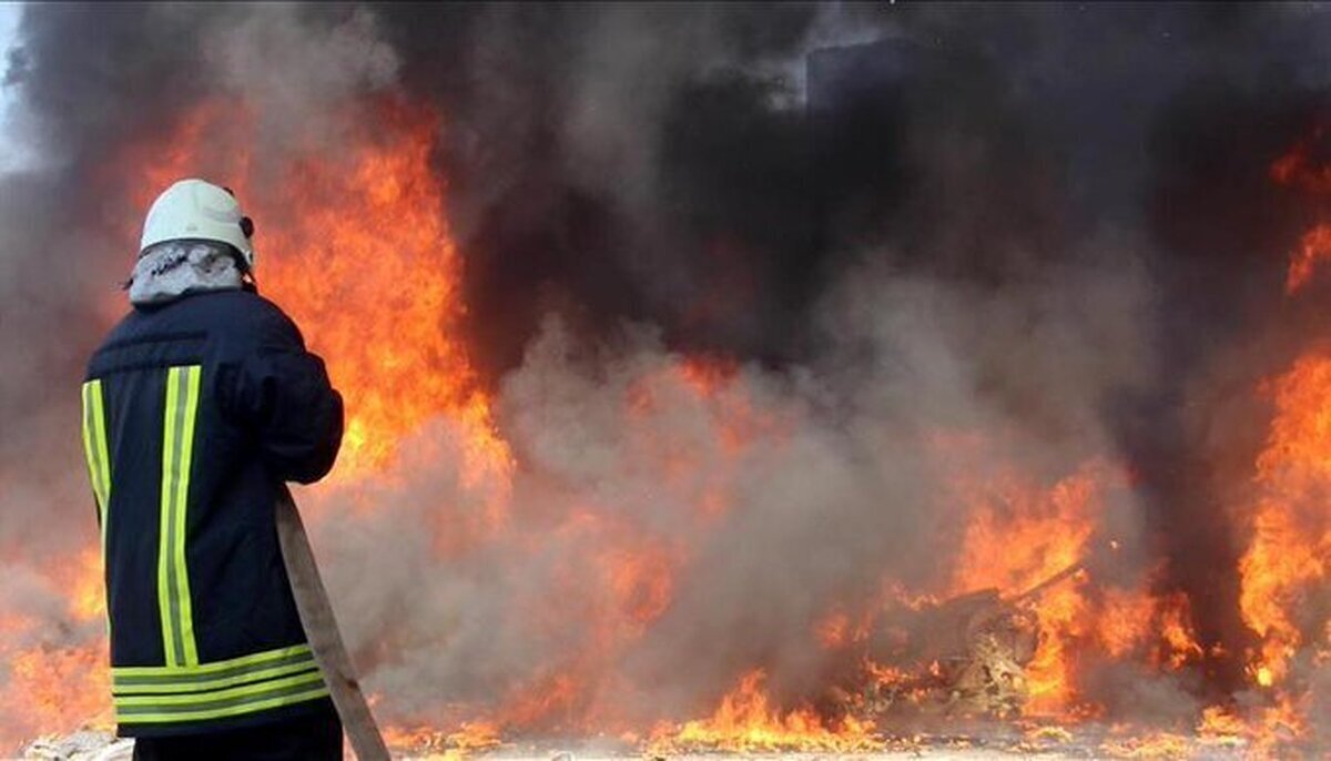 آتش سوزی چشمه ریزک منطقه حفاظت شده «سیوک» بویراحمد مهار شد
