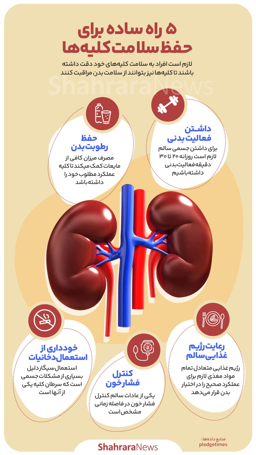 اینفوگرافیک | ۵ راه ساده برای حفظ سلامت کلیه‌ها