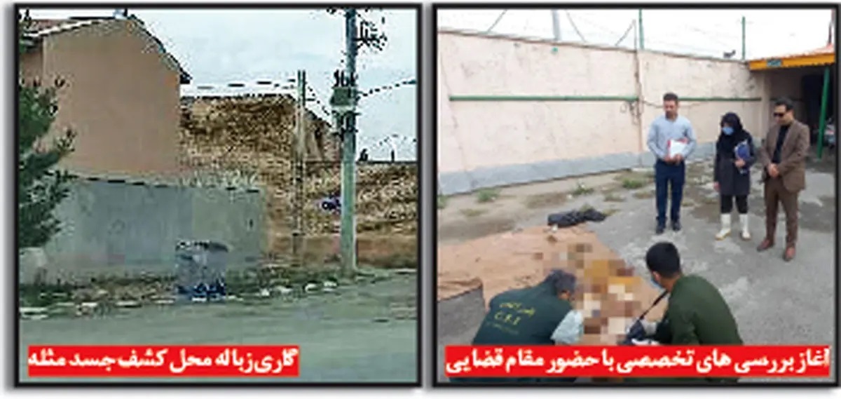 کشف جسد تکه تکه شده در گاری زباله در شهرک مهرگان مشهد + عکس