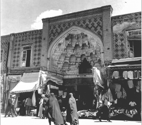 مزرعه‌ای که به گُل نشست