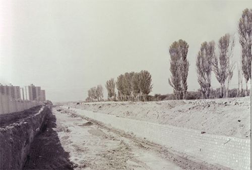 مزرعه‌ای که به گُل نشست