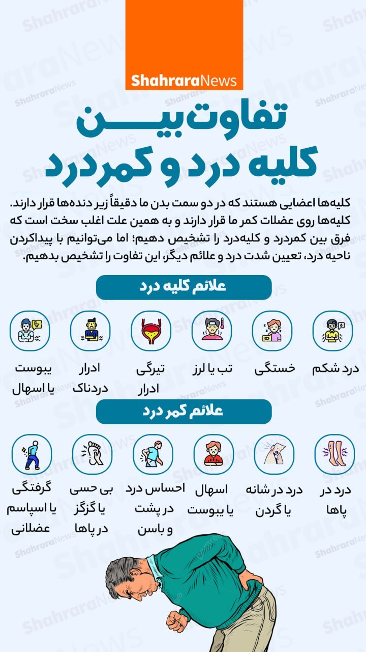 اینفوگرافی| تفاوت کلیه درد و کمر درد