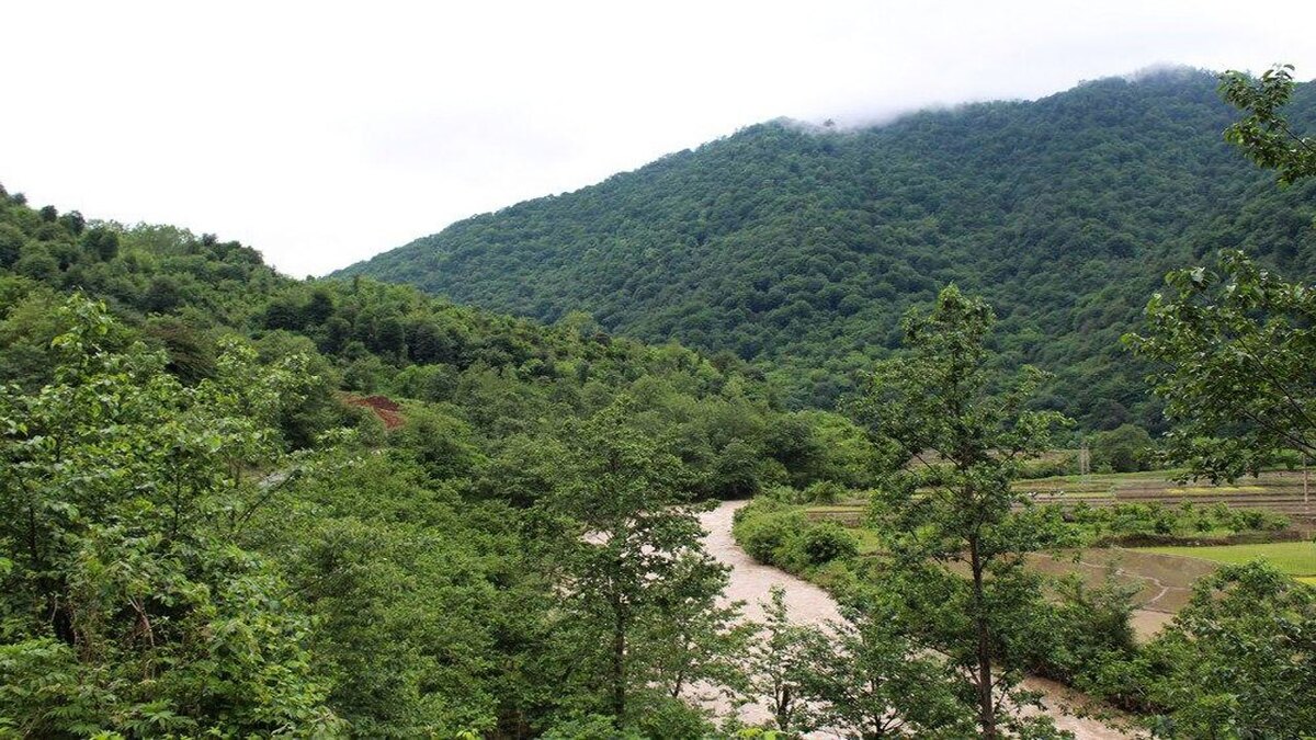 ویدئویی زیبا از طبیعت زیبا اشکورات در استان گیلان را مشاهده می‌کنید.