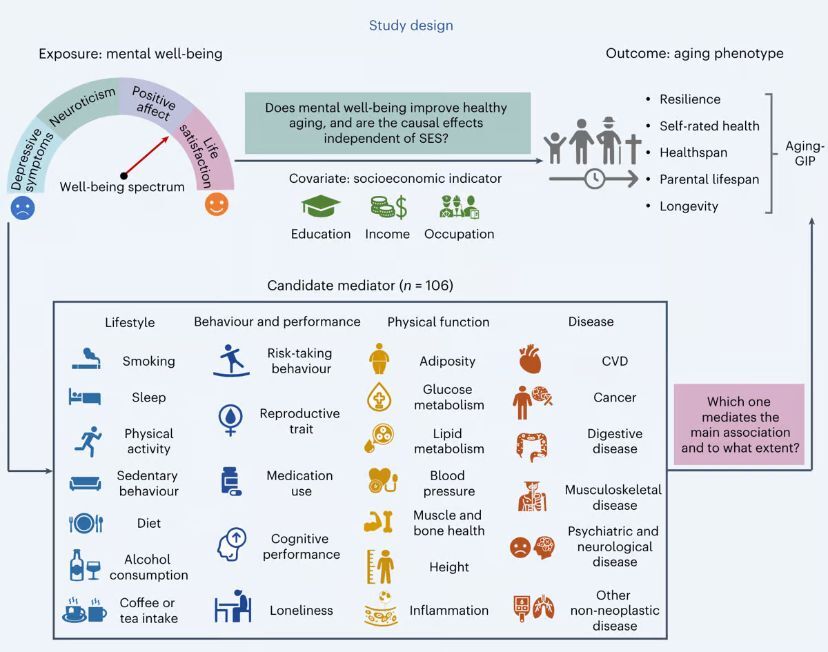 آیا مصرف پنیر کیفیت زندگی را افزایش می‌دهد؟ + پاسخ محققان