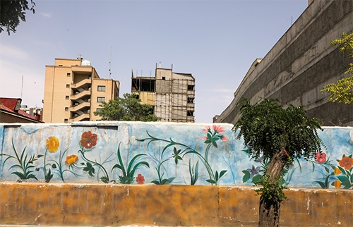 فقط یک شماره ثبت!