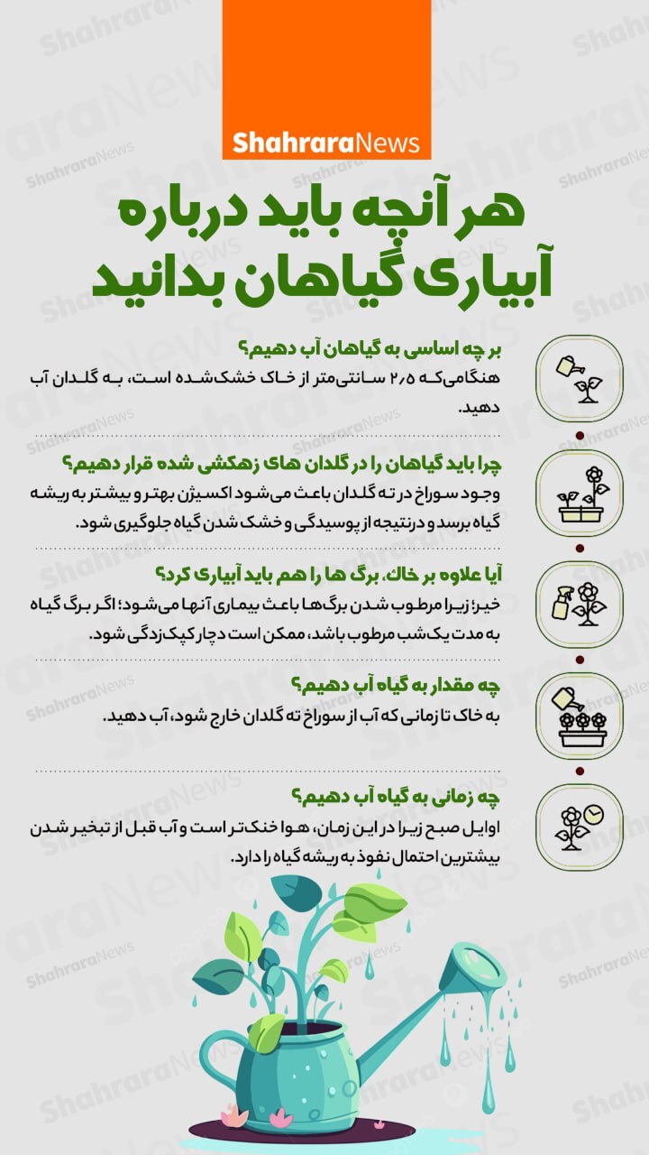 اینفوگرافی| هر آنچه باید درباره آبیاری گیاهان بدانید