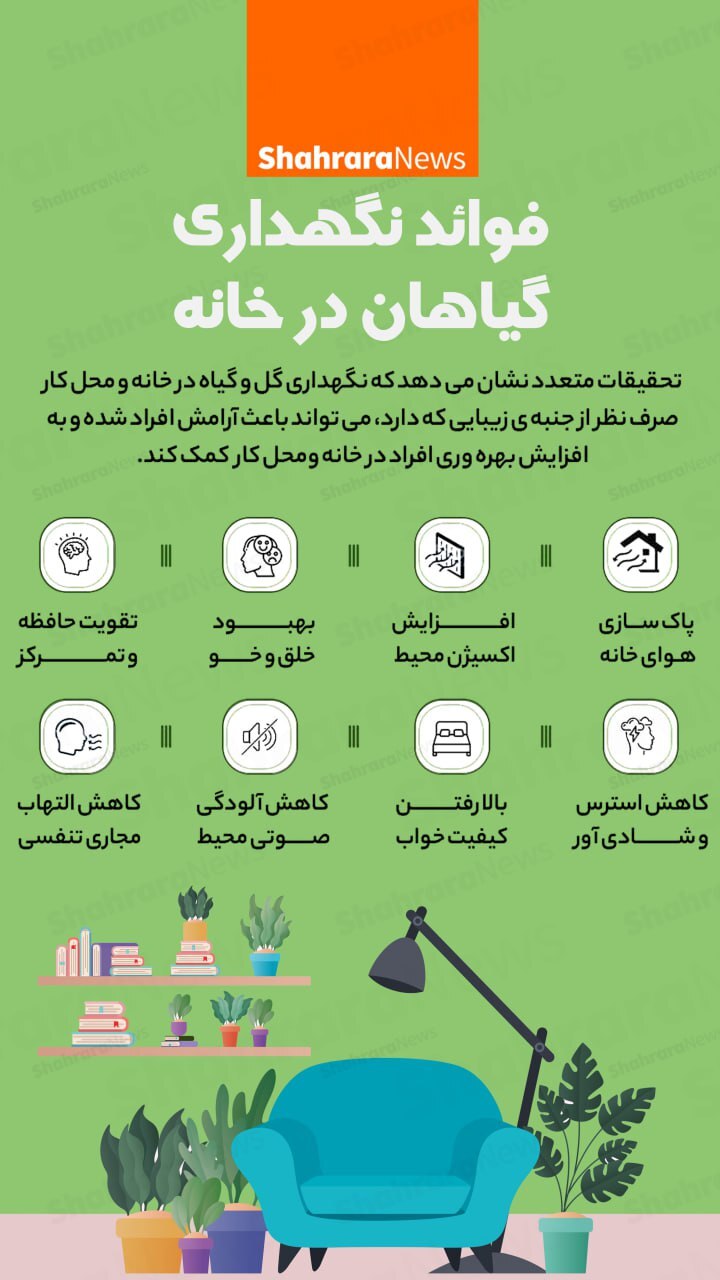 اینفوگرافی| فواید نگهداری گیاهان در خانه