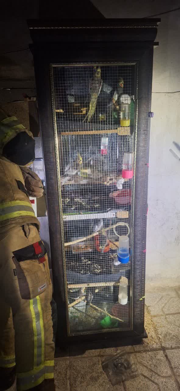 حریق منزل مسکونی و نجات جان پرندگان زینتی (۱۹ مرداد ۱۴۰۳) حریق منزل مسکونی و نجات جان پرندگان زینتی (۱۹ مرداد ۱۴۰۳)